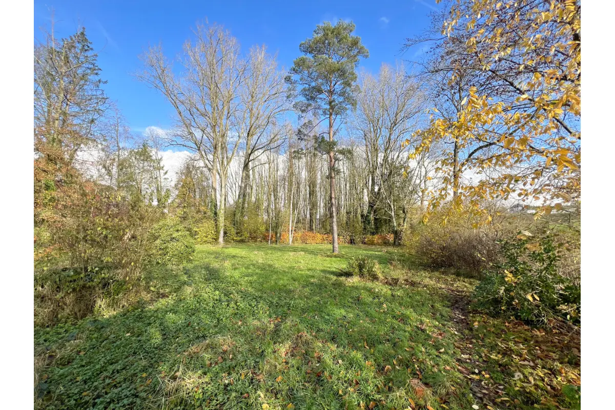 Grond te  koop in Lasne 1380 165000.00€  slaapkamers m² - Zoekertje 703079