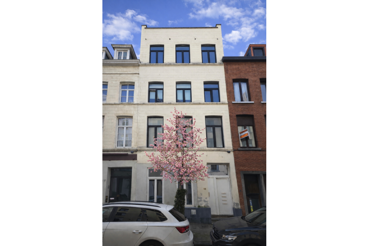 Rez-de-chaussée à louer à Bruxelles 1000 890.00€ 1 chambres 43.00m² - annonce 708013