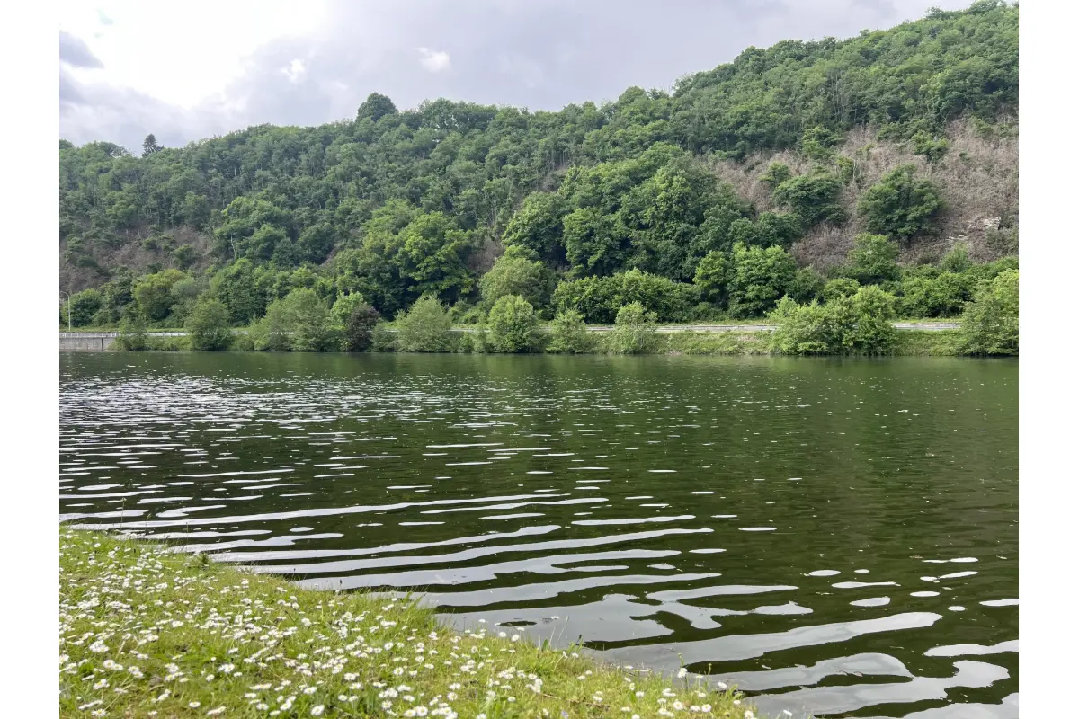 Grond te  koop in Hastière 5540 99000.00€  slaapkamers m² - Zoekertje 708696