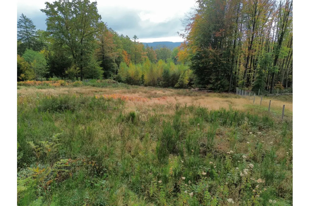 Grond te  koop in Stoumont 4987 130000.00€  slaapkamers m² - Zoekertje 708801