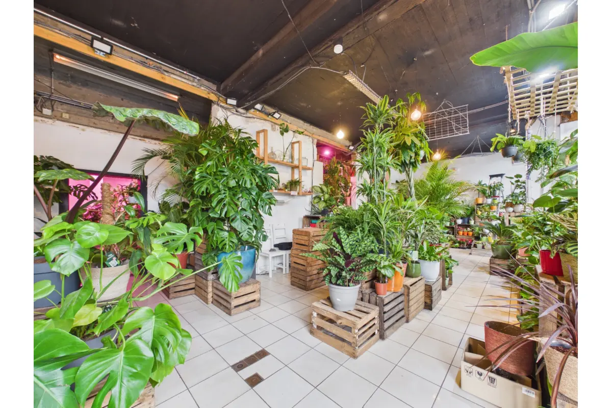 Commerce à louer à Ixelles 1050 6000.00€  chambres 140.00m² - annonce 712799