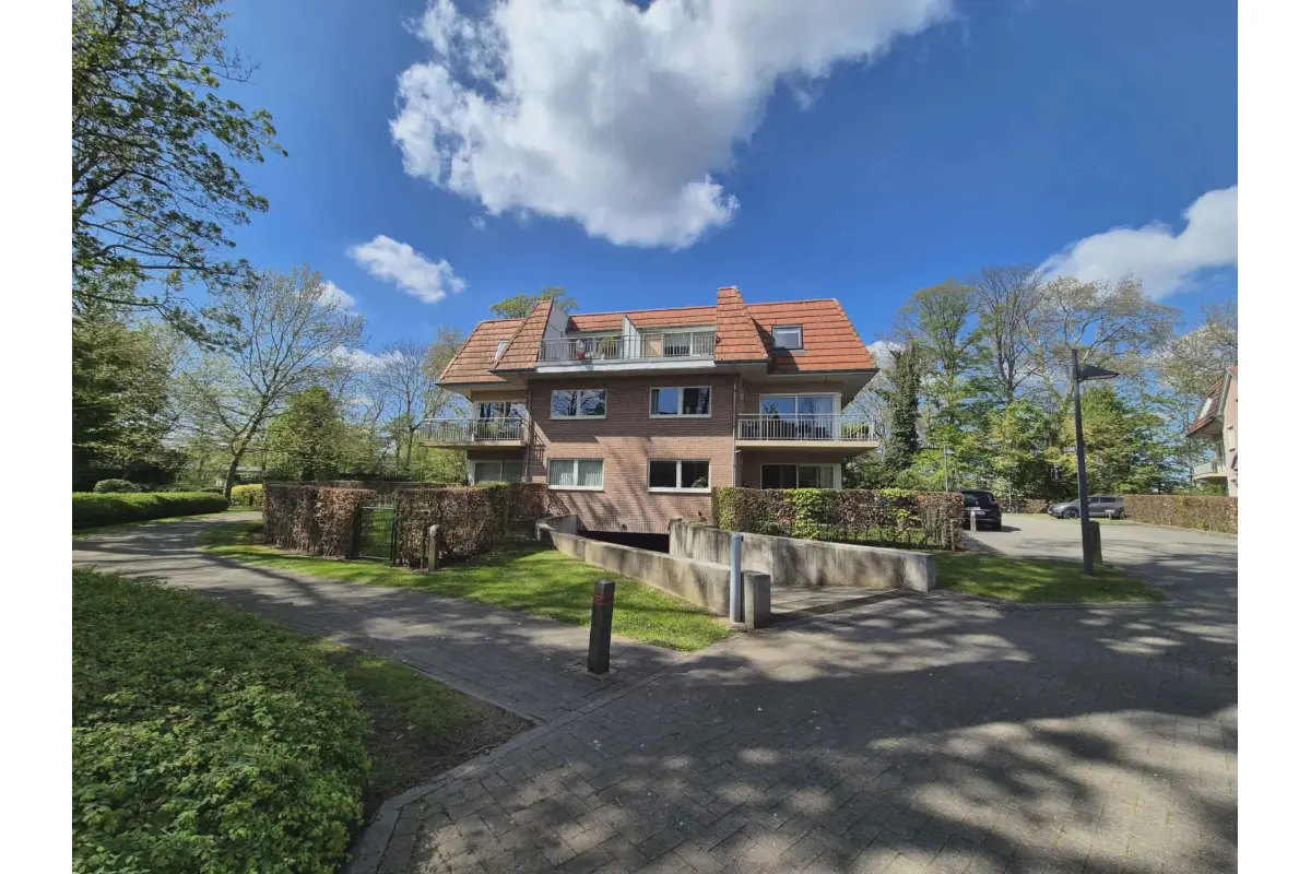 Penthouse à louer à Wetteren 9230 1200.00€ 2 chambres 115.00m² - annonce 738528