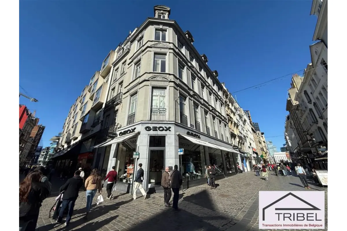 Appartement te  in Brussel 1000 1250.00€ 2 slaapkamers 95.00m² - Zoekertje 739332