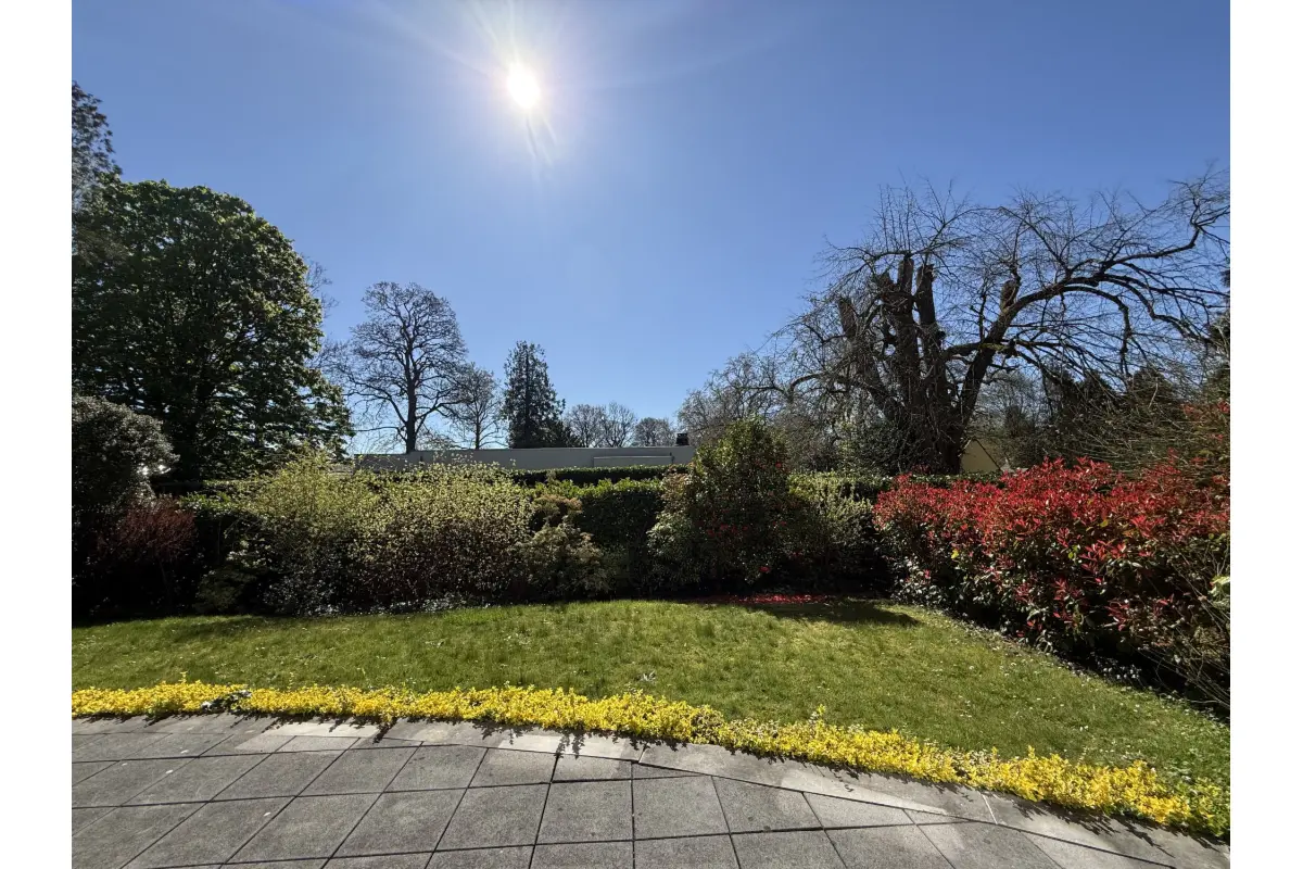 Appartement te  koop in Watermaal-Bosvoorde 1170 800000.00€ 3 slaapkamers 250.00m² - Zoekertje 744254