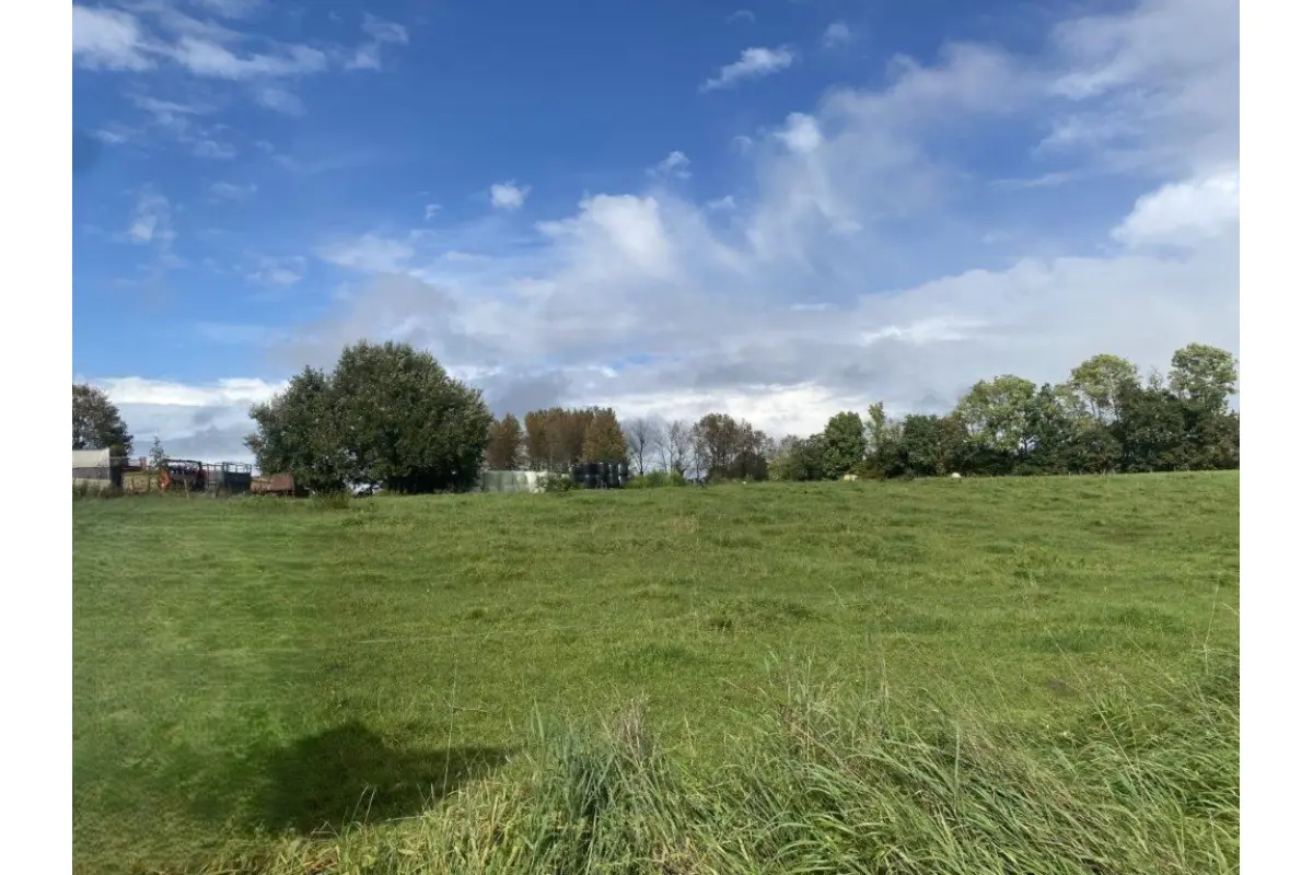 Grond te  koop in Gérouville 6769 120000.00€  slaapkamers m² - Zoekertje 745509