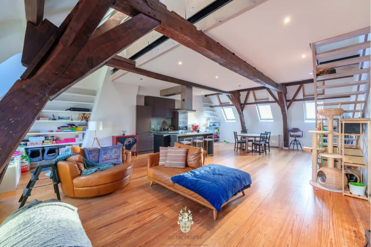Duplex à vendre à Bruxelles 1000 460000.00€ 1 chambres 139.00m² - annonce 750946