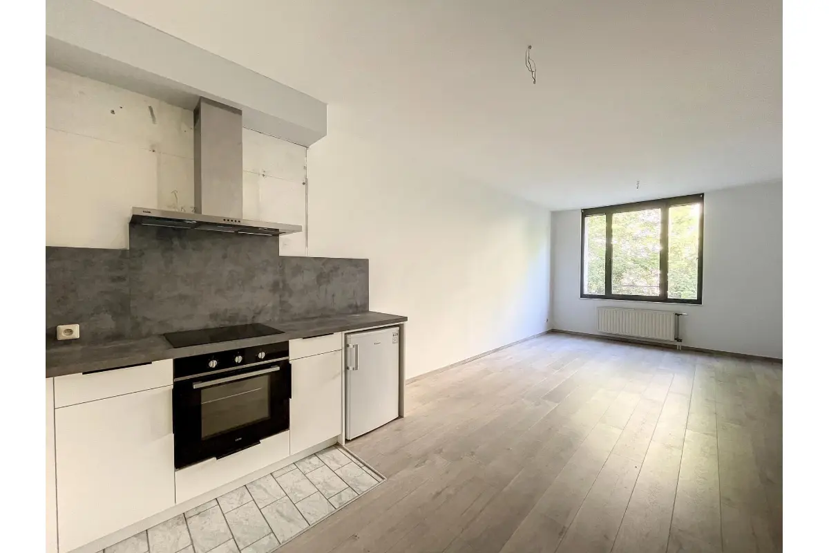 Appartement à vendre à Ixelles 1050 295000.00€ 1 chambres 45.00m² - annonce 751905