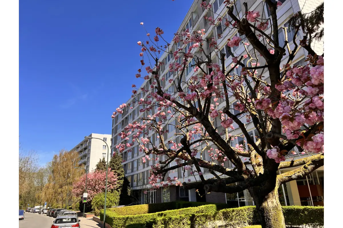 Appartement à vendre à Woluwe-Saint-Pierre 1150 199000.00€ 1 chambres 63.00m² - annonce 751836