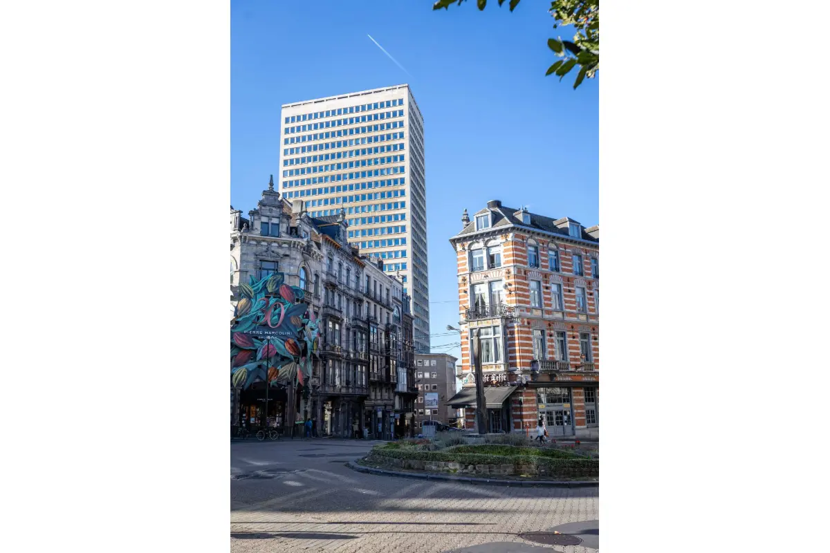 Commerce à louer à Bruxelles 1000 5960.00€  chambres 311.00m² - annonce 751902