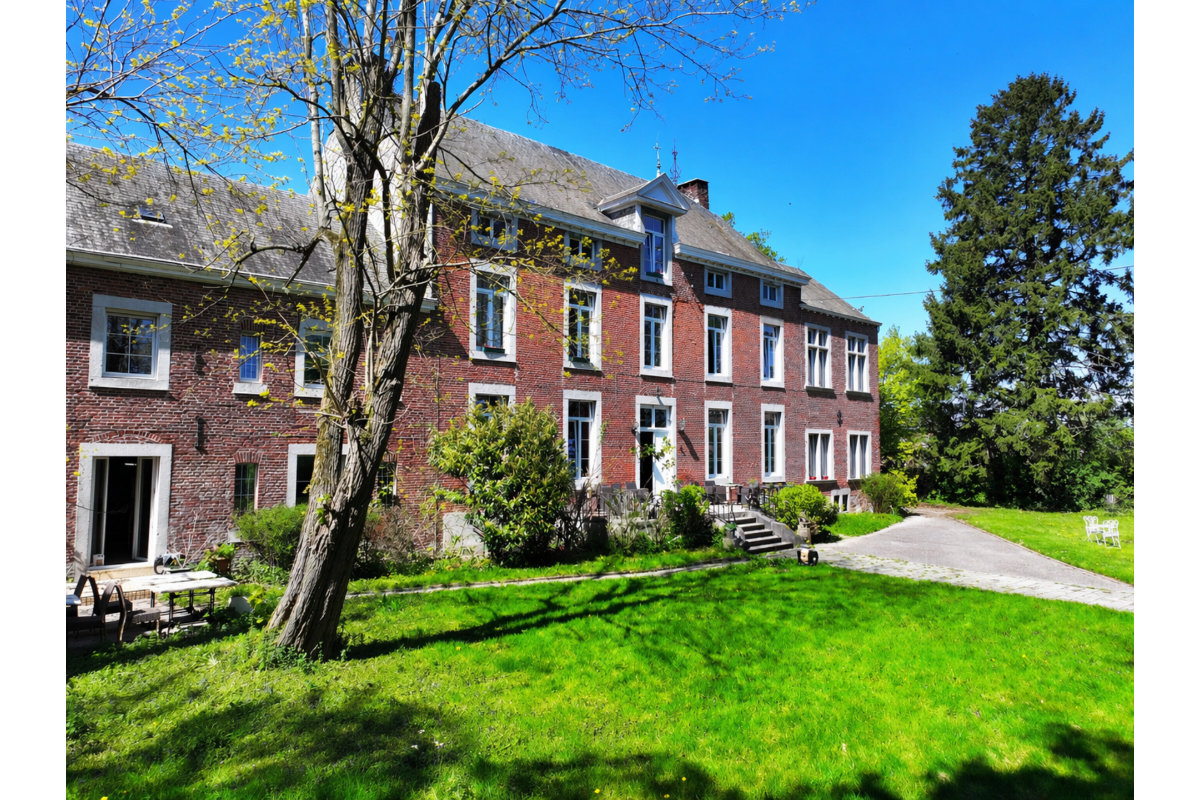 Château à vendre à Ligney 4254 2500000.00€ 9 chambres 991.00m² - annonce 751730