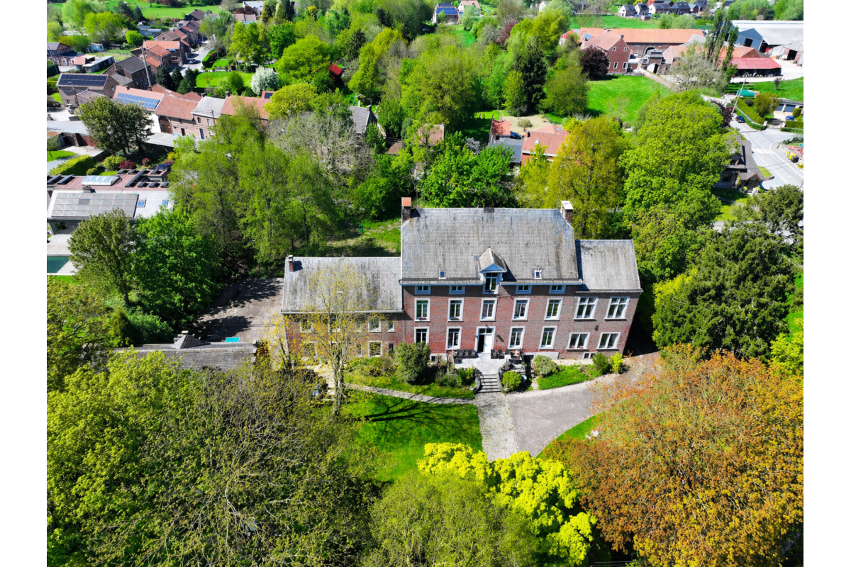 Château à vendre à Ligney 4254 2500000.00€ 9 chambres 991.00m² - annonce 751730