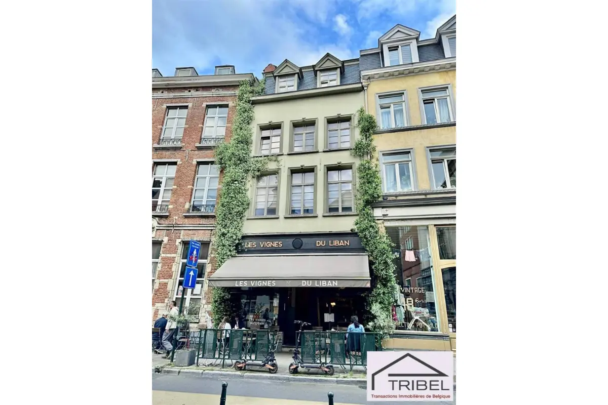 Appartementsgebouw te  koop in Brussel 1000 985000.00€ 4 slaapkamers 300.00m² - Zoekertje 759540