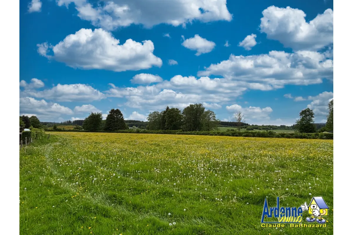 Terrain à vendre à Beausaint 6980 360000.00€  chambres m² - annonce 763371
