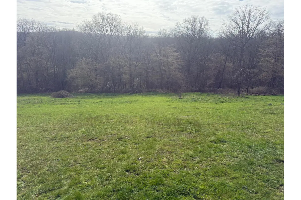 Terrain à vendre à Jemeppe-sur-Sambre 5190 124000.00€  chambres m² - annonce 763499