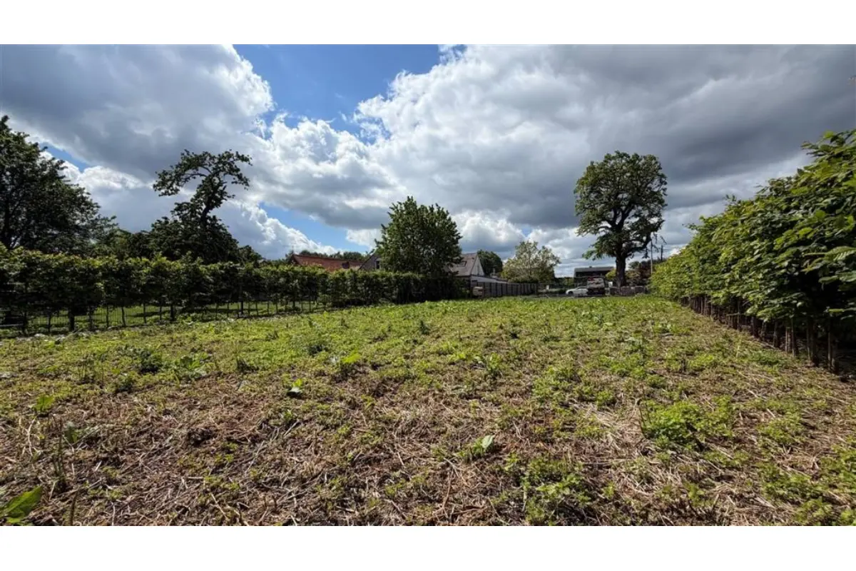 Terrain à vendre à Templeuve 7520 250000.00€  chambres m² - annonce 763073