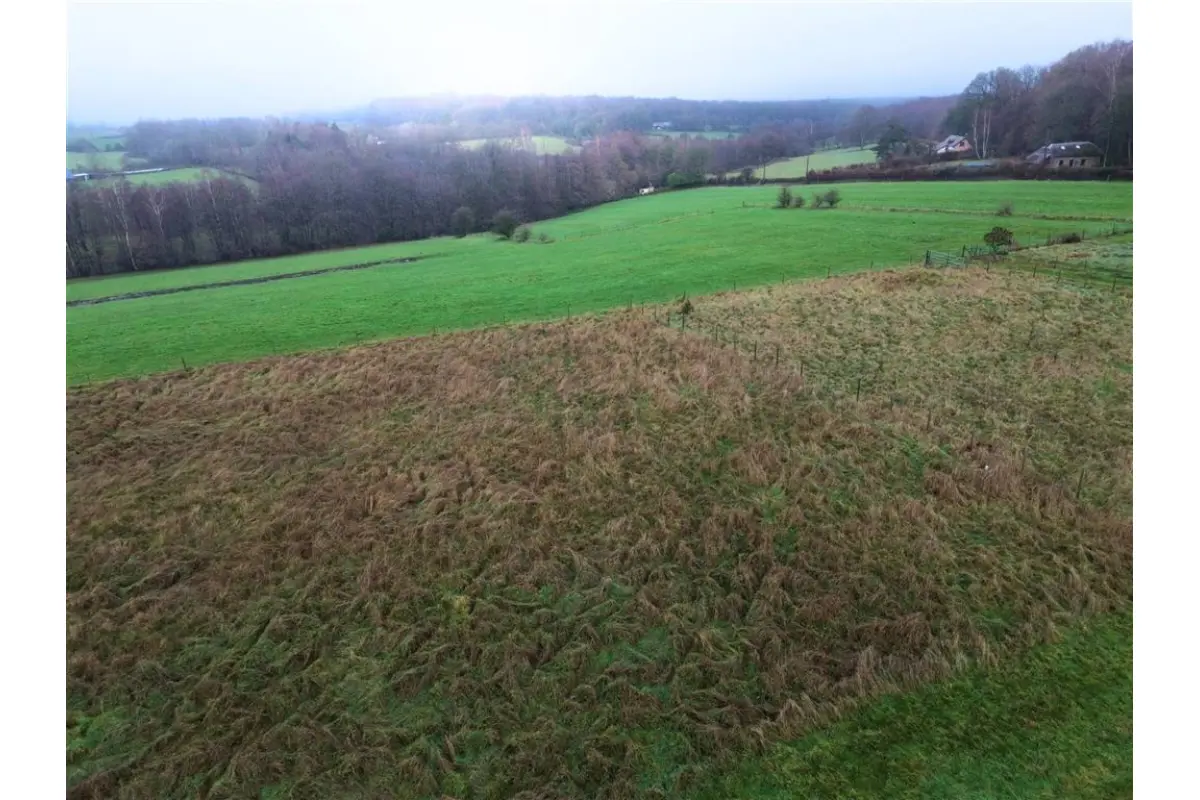 Terrain à vendre à Forge-Philippe 6596 40000.00€  chambres m² - annonce 769744