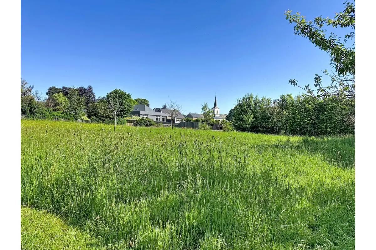 Terrain à vendre à Lavacherie 6681 95000.00€  chambres m² - annonce 769856