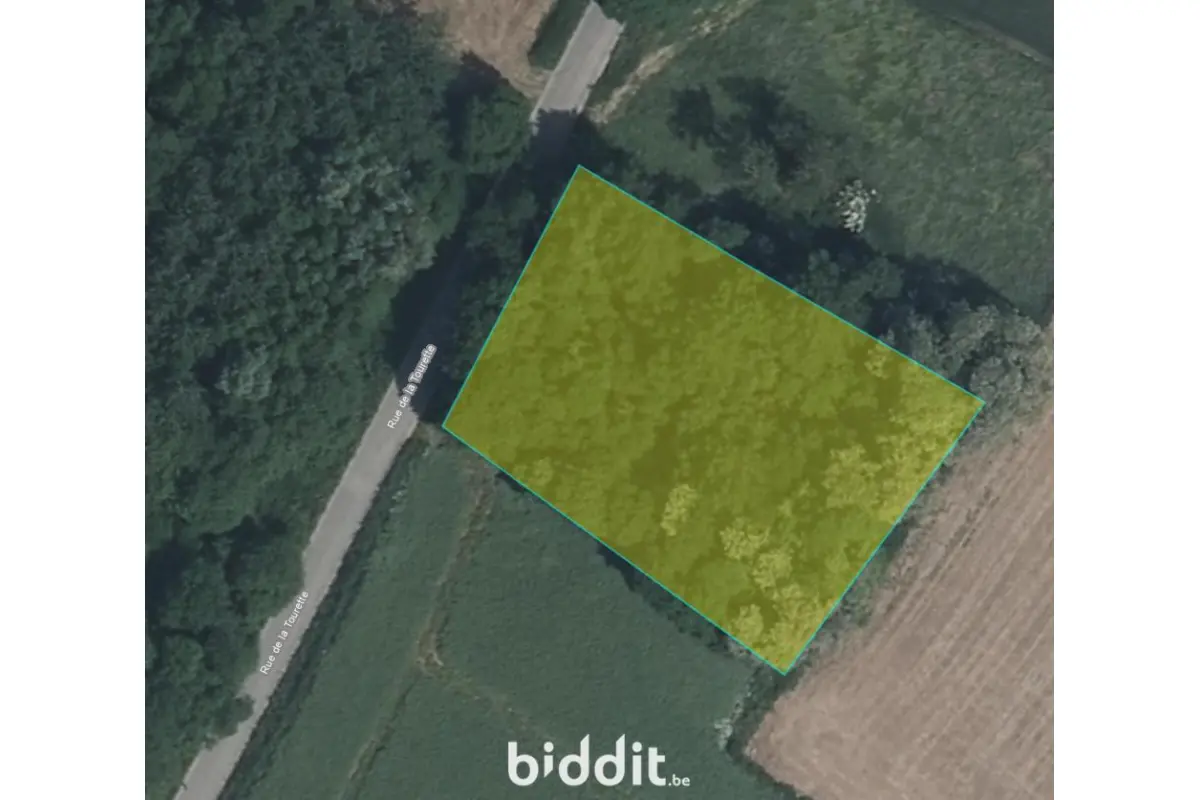 Terrain non bâtissable à vendre à Saint-Remy-Geest 1370 5000.00€  chambres m² - annonce 770913