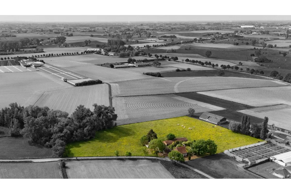 Ferme à vendre à Tielt 8700 496000.00€ 2 chambres 110.00m² - annonce 772096