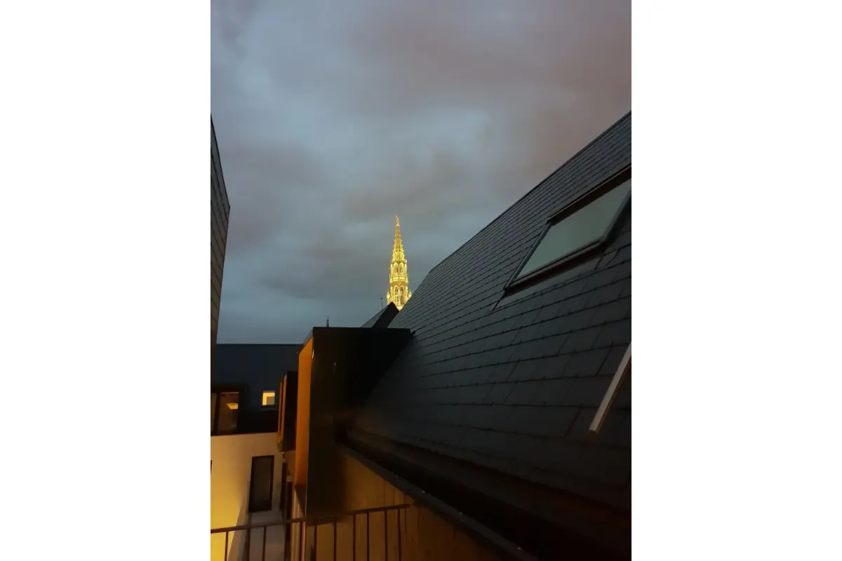 Penthouse à vendre à Bruxelles 1000 385000.00€ 1 chambres 76.00m² - annonce 772797