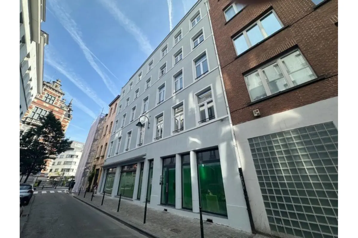 Mixgebouw te  in Brussel 1000 5860000.00€ 25 slaapkamers 1331.00m² - Zoekertje 774821
