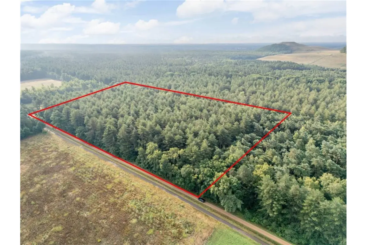 Terrain non bâtissable à vendre à Opglabbeek 3660 124000.00€  chambres m² - annonce 774590