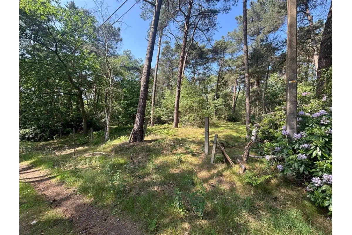 Terrain non bâtissable à vendre à Meerhout 2450 19000.00€  chambres m² - annonce 781650