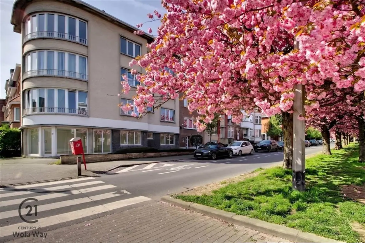 Handelszaak te  huur in Sint-Lambrechts-Woluwe 1200 2300.00€  slaapkamers 81.00m² - Zoekertje 782565