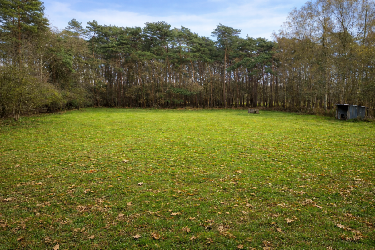 Terrain à vendre à Halle 2980 53000.00€  chambres m² - annonce 782190