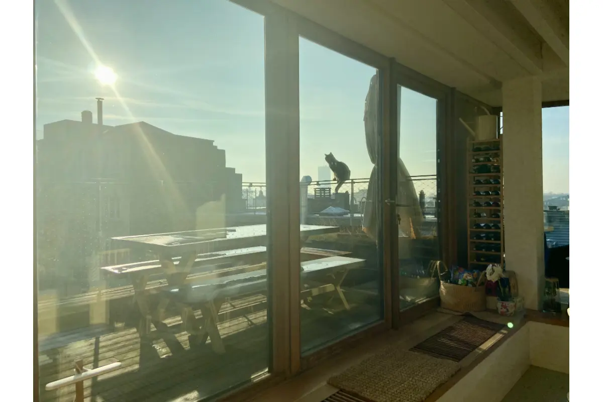 Appartement à vendre à Bruxelles 1000 625000.00€ 3 chambres 132.00m² - annonce 785349