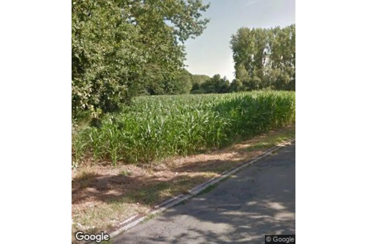 Terrain non bâtissable à vendre à Berlare 9290 35000.00€  chambres m² - annonce 785117