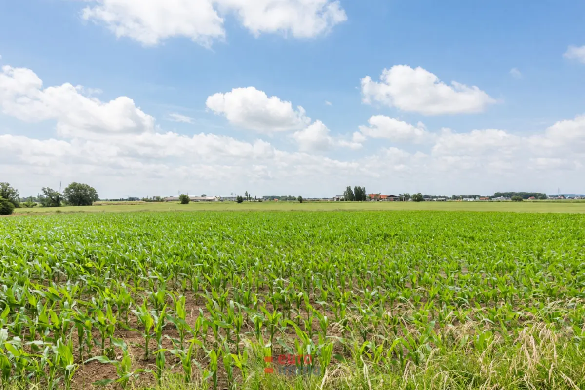 Terrain à bâtir à vendre à Ypres 8900 390000.00€  chambres m² - annonce 786260