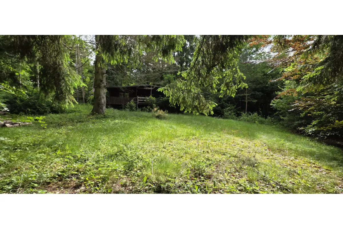 Bungalow à vendre à Gedinne 5575 110000.00€ 1 chambres 36.00m² - annonce 786789