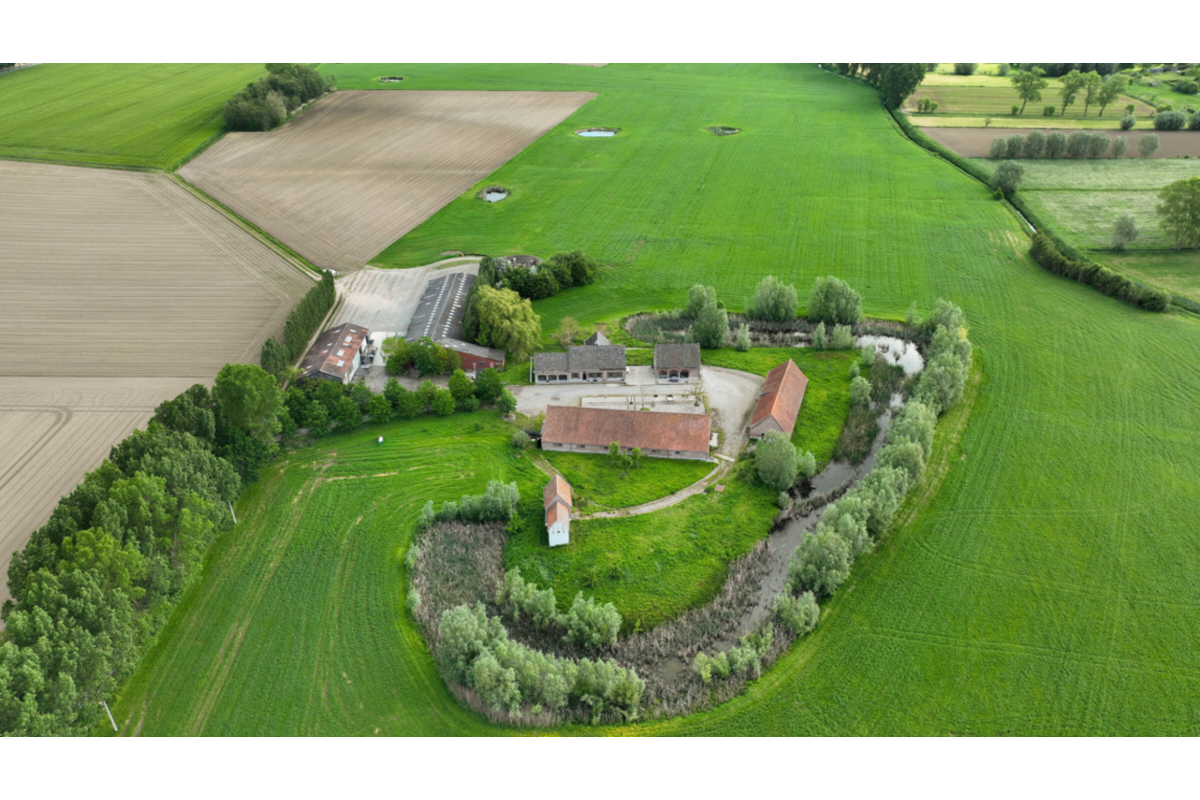 Bungalow à vendre à Dentergem 8720 0.00€ 6 chambres 665.00m² - annonce 787073