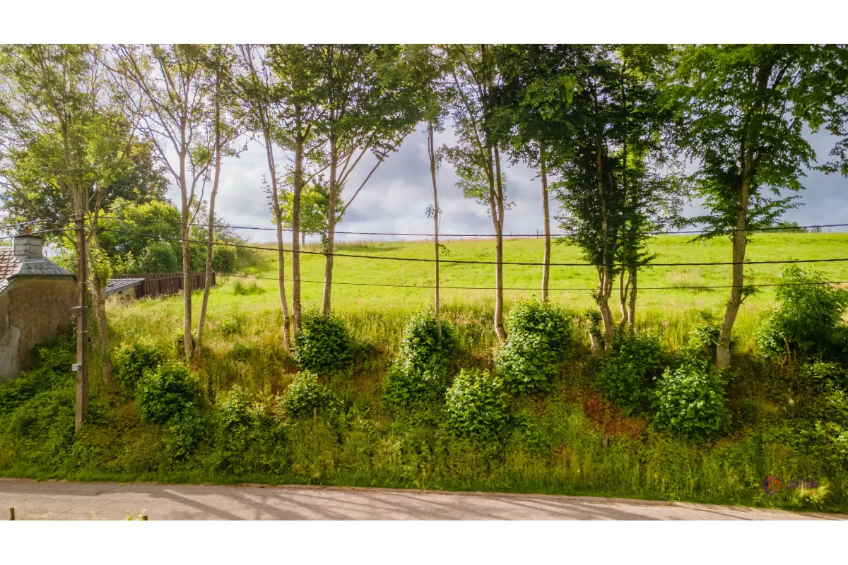 Terrain à vendre à Attert 6717 195000.00€  chambres m² - annonce 788369
