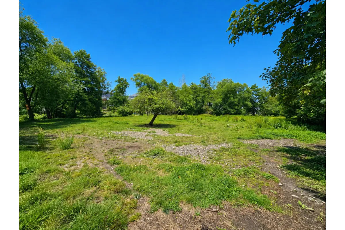 Terrain à vendre à Viroinval 5670 49000.00€  chambres m² - annonce 788562