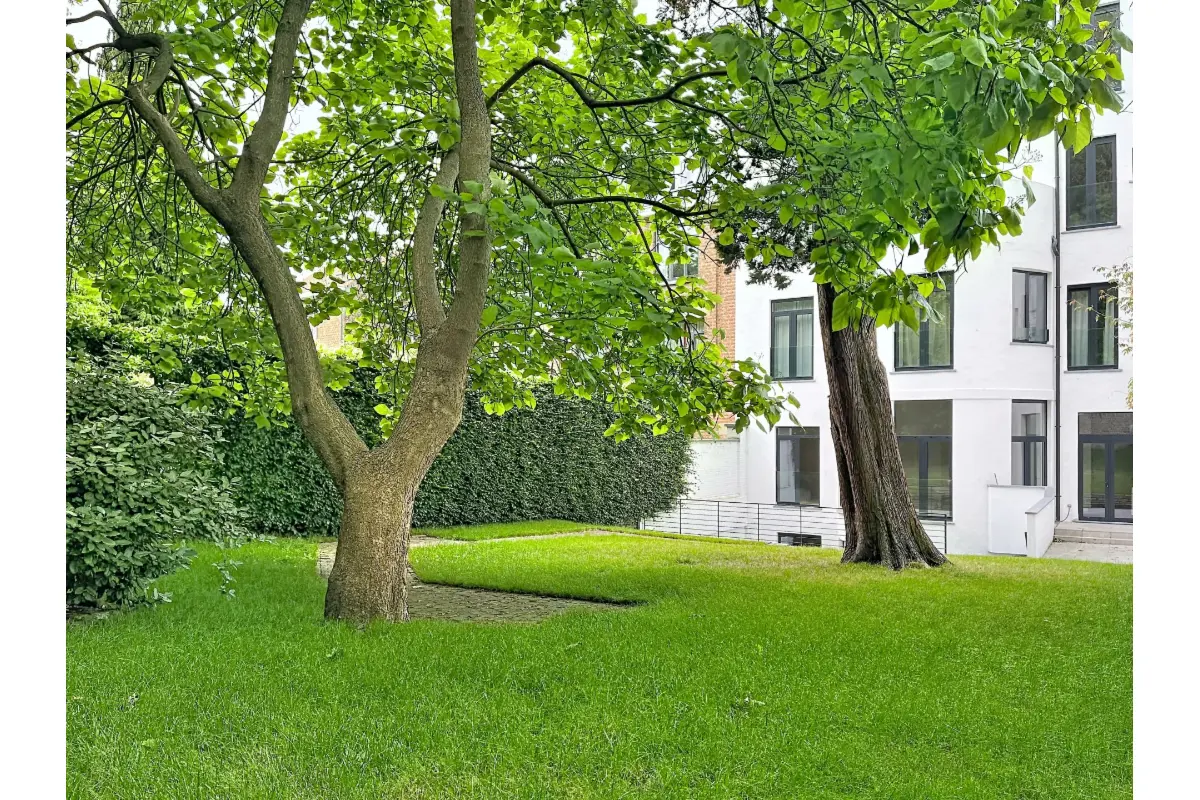 Appartement à louer à Etterbeek 1040 4200.00€ 3 chambres 220.00m² - annonce 788966