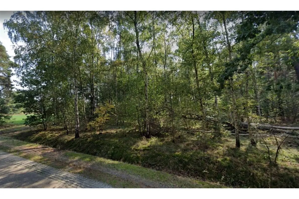 Terrain non bâtissable à vendre à Lille 2275 40000.00€  chambres m² - annonce 791837