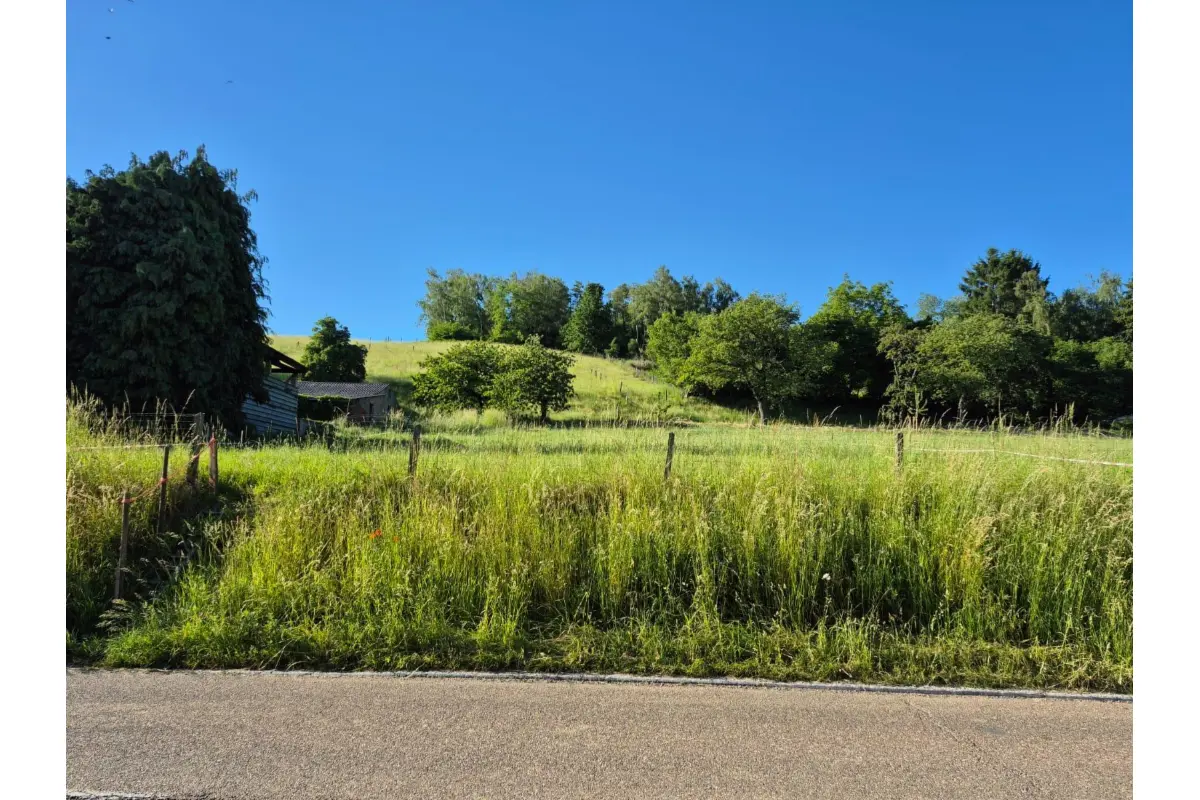 Terrain à bâtir à vendre à Halen 3545 149000.00€  chambres m² - annonce 791314