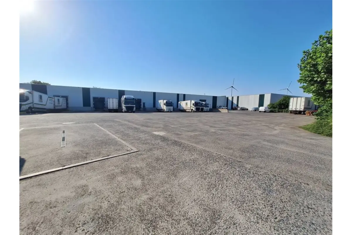 Commerce à louer à Menin 8930 10000.00€  chambres 3897.00m² - annonce 791501