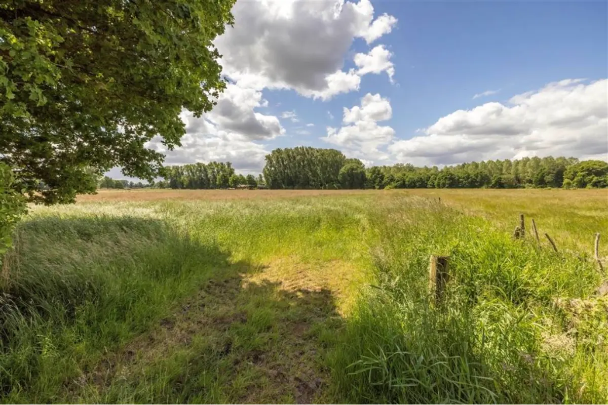 Terrain non bâtissable à vendre à Heist-op-den-Berg 2220 175000.00€  chambres m² - annonce 791713