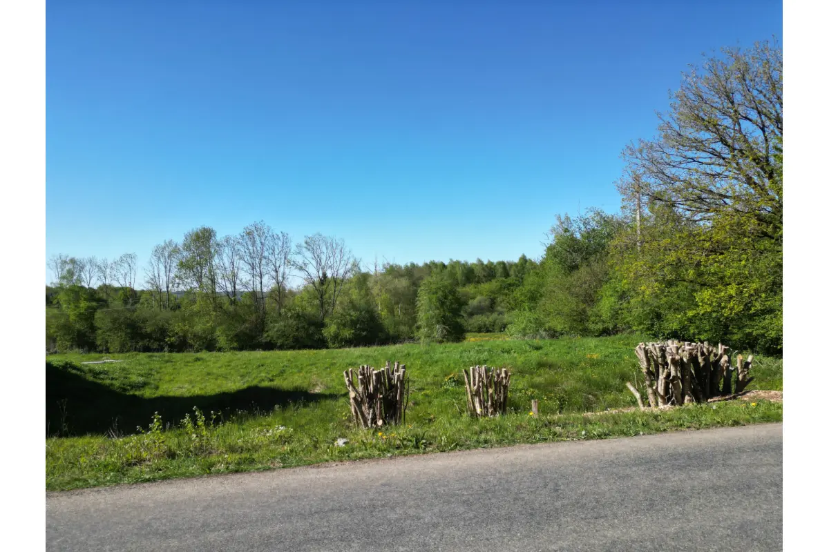 Terrain à bâtir à vendre à Rendeux 6987 99000.00€  chambres m² - annonce 792117