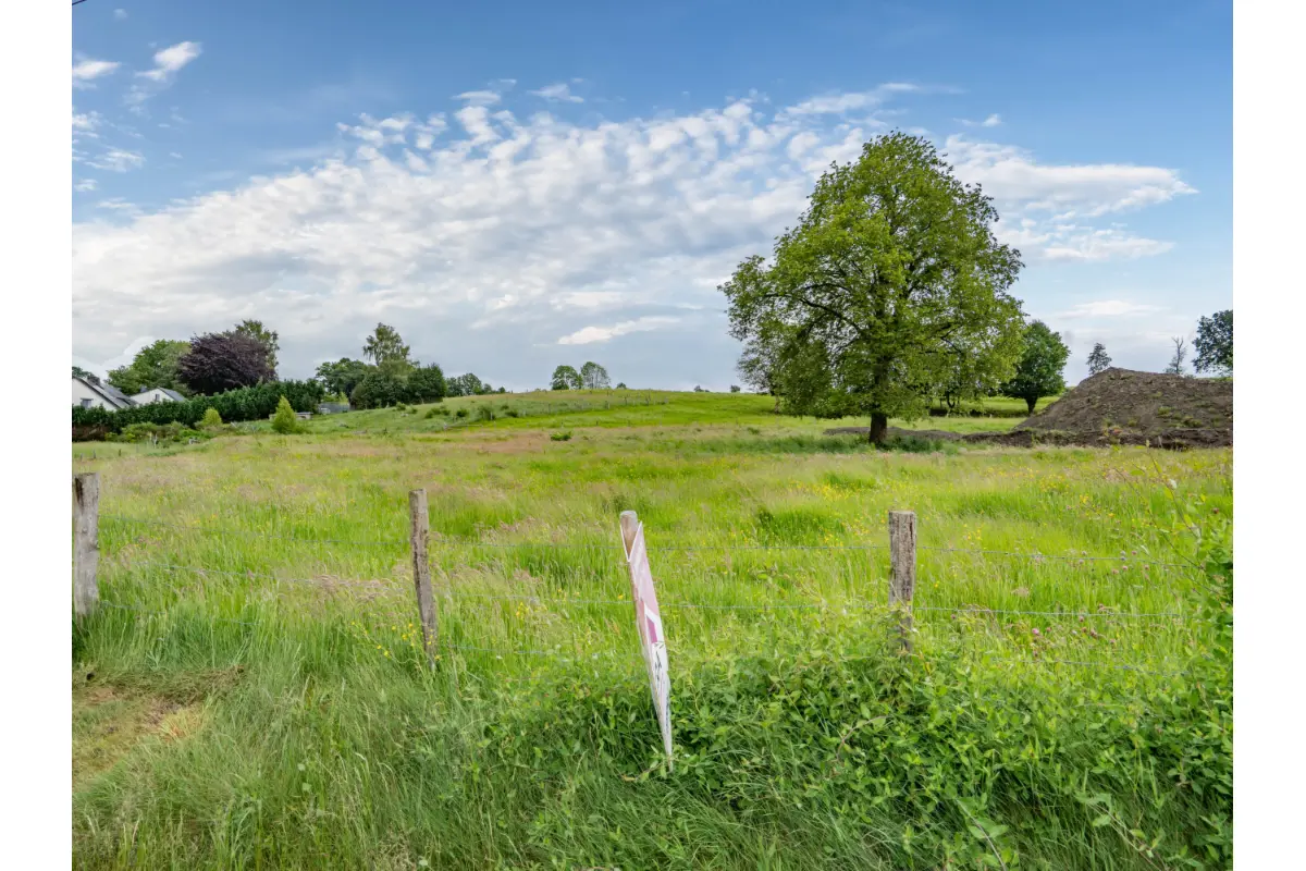 Terrain à bâtir à vendre à Bertogne 6687 83000.00€  chambres m² - annonce 792538