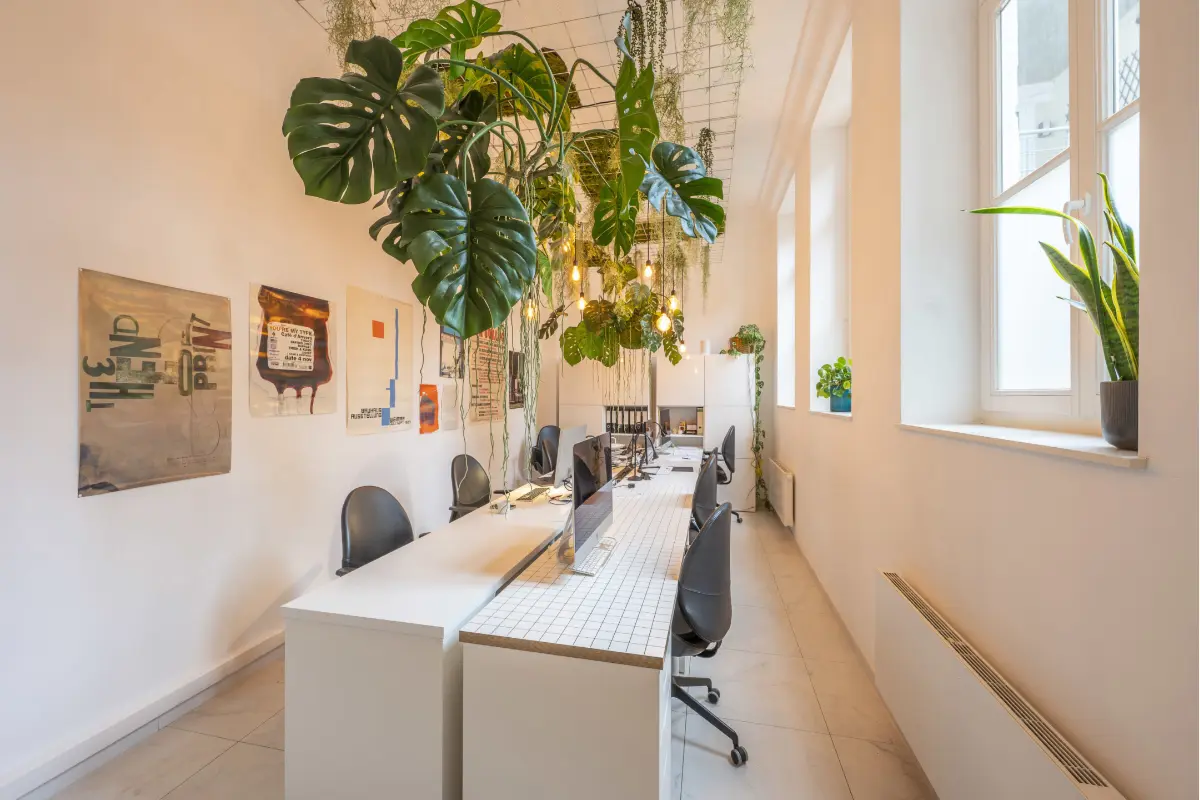 Commerce à louer à Malines 2800 1450.00€  chambres 64.00m² - annonce 792898