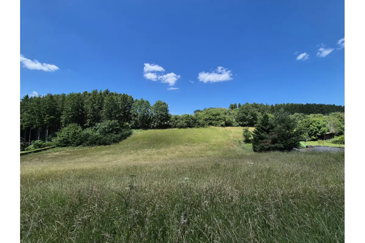 Terrain à vendre à Manhay 6960 95000.00€  chambres m² - annonce 794169