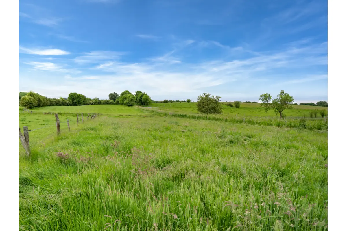 Terrain à vendre à Neufchâteau 6840 109000.00€  chambres m² - annonce 794139