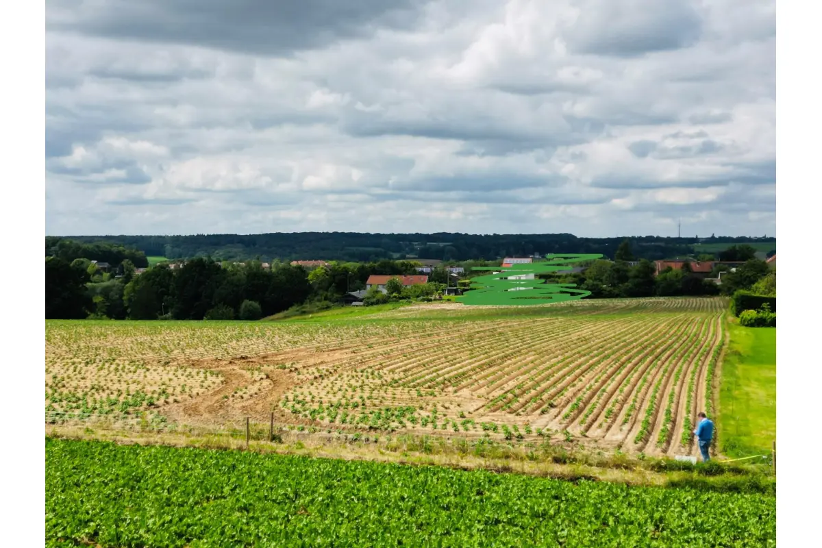 Terrain à vendre à Braine-le-Château 1440 180000.00€  chambres m² - annonce 794049