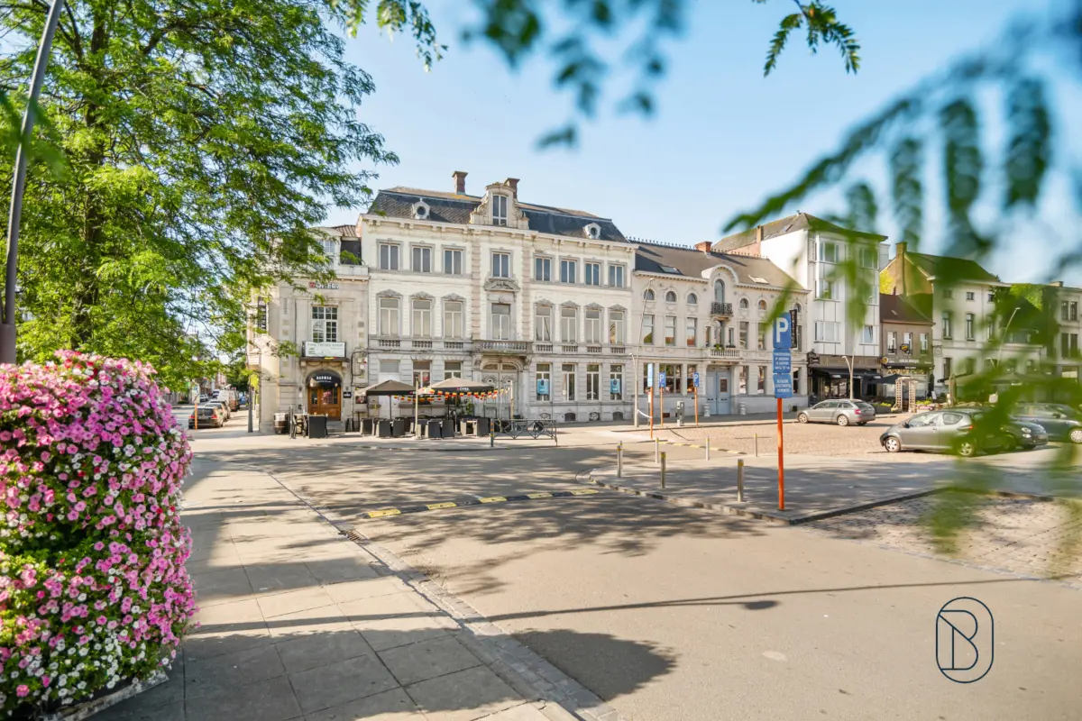 Maison de maître à vendre à Renaix 9600 598000.00€ 10 chambres 1000.00m² - annonce 794152
