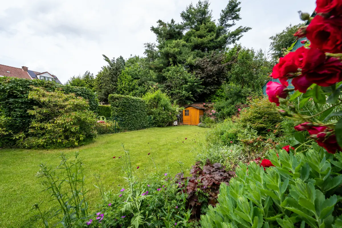Maison à vendre à Woluwe-Saint-Pierre 1150 1100000.00€ 6 chambres 306.00m² - annonce 812464