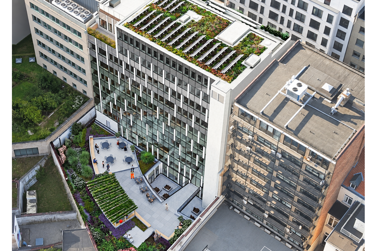Commerce à louer à Etterbeek 1040 0.00€  chambres 1317.00m² - annonce 818268